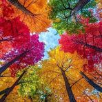 Brad Lee - Facebook