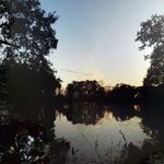 brad lemon - @lemon6260 - Instagram