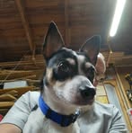 Brad Longfellow - Facebook