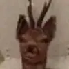 Twitch.tv/itzzcraze_ - @bradynmacgregor13 - TikTok