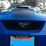 Brad Turri - @brad.mach1 - Instagram