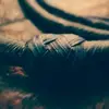 bradpullinthemach - @bradpullinthemach - TikTok