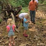Brad Mackey - @brad.mackey.39 - Instagram