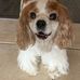 Brad Mader - Facebook