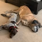 Brad Magers - @bmagers1974 - Instagram