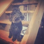 Brad Maggard - @bradmaggard - Instagram