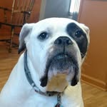 Brad Maggard - @bmaggard75 - Instagram