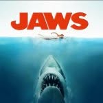 Sharks of instagram - @brad_maggard_2007 - Instagram