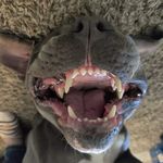 Brad Maier - @brad.maier - Instagram