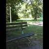 bradmaier208 - @bradmaier208 - TikTok
