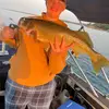 brad maines - @wallyeguy - TikTok