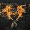 bradmalin2 - @bradmalin2 - TikTok