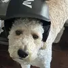 idfk - @bradenmalin24 - TikTok