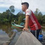 BRADLEY MALING - @bradleymaling - Instagram
