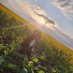 Braden Mandel - Facebook