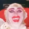 манке брад - @manke.brad - TikTok