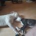 Brad Marlow - Facebook