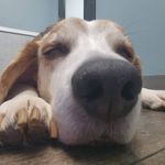 Brad Marlow - @gashuffer70 - Instagram