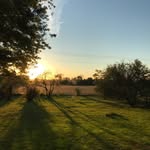 Brad Marr - @bradleymarr - Instagram