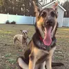 Brad Marshall - @brad.marshall52 - TikTok