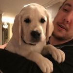 Brad Marx - @marx.brad - Instagram