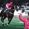 Brad Mateer - @bradmateer - TikTok