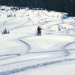 Brad McCord - @bradmccord50 - Instagram