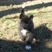 Brad McGaha - Facebook