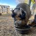 Brad McGahan - Facebook