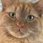 Brad McGovern - @bmcgov2 - Instagram