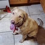 Brad McKinney - @birddown16 - Instagram