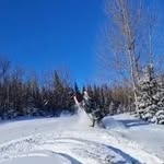 Brad McLaughlin - @mclaughlinbrad - Instagram