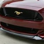 Brad Mcneil - @bradsoblesmcneil - Instagram