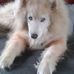 Brad McNeil - Facebook
