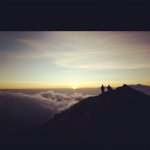 Brad McNeill - @bradmcneill25 - Instagram