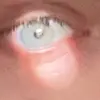 Brandon McVickers - @brandonmcvickers7 - TikTok