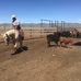 Brad Mecham - Facebook