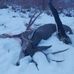Brady Mecham - Facebook