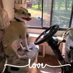 Ann Meiners-Bradford - @meinersbradford - Instagram