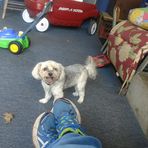 Brad Meister - Facebook
