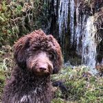 Brad Mercer - @bradmercer4 - Instagram