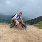 @bradmercer_1 - Instagram
