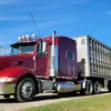 Bacontrain386 - @bradmeyer2 - TikTok