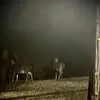 Brad Michael - @brad.michael2 - TikTok