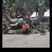 Brad Mitchell - Facebook