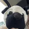 Brad Mitchell - @b_mitchell75 - TikTok