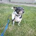 Bradley Mitchell - Facebook