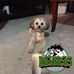 Brad Moffatt - Facebook