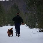 Brad Moffatt - @mrtoadtreebark - Instagram