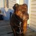 Brad Moody - Facebook